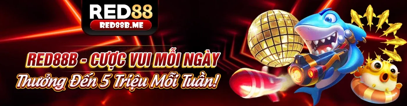 Tin tức Rickvip mới nhất và cập nhật cá cược 2026