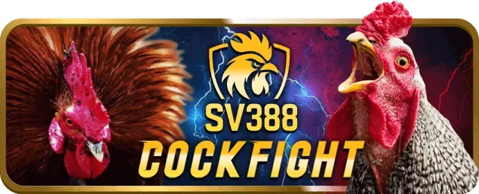 Hỗ trợ chat trực tuyến Rickvip